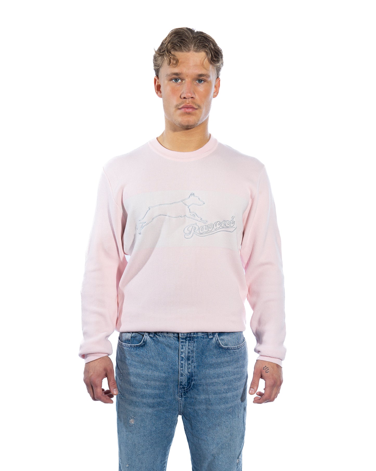 Doberman Knit Crewneck Pink