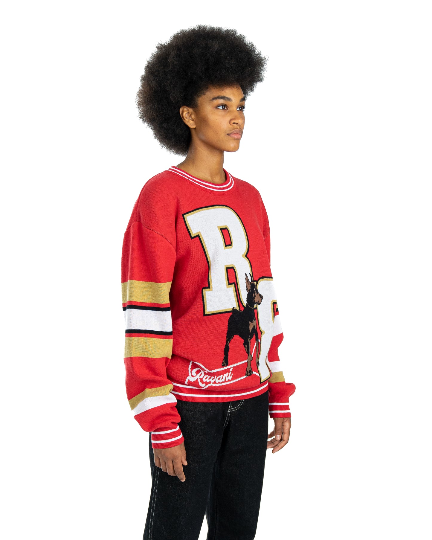 RR Puppy Knit crewneck Red