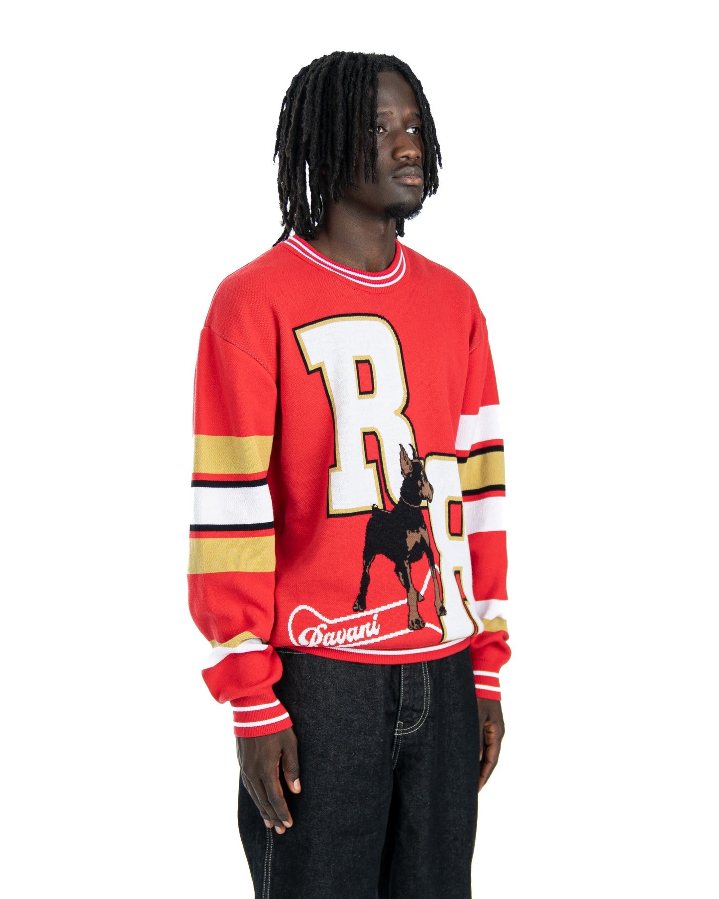 RR Puppy Knit crewneck Red